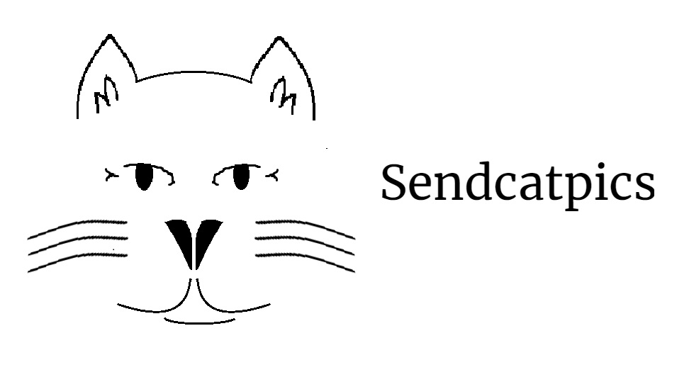 Sendcatpics